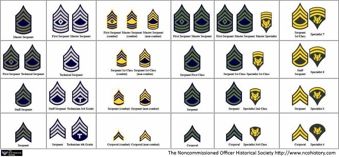 Short History of the Specialist Rank – NCO Historical Society