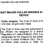 Command Sergeant Major Collar Insignia & Branch Immaterial half