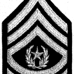First Set of Insignia for CSM Announcement insignia