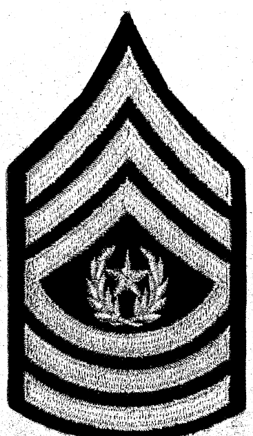 First Set of Insignia for CSM Announcement insignia