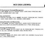 NCO 2020 LOE/WGs first slide