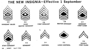 Insignia picture