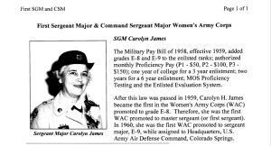 First Sergeant Major & Command Sergeant Major Women's Army Corps half